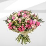 Agatha Peonie, veronica