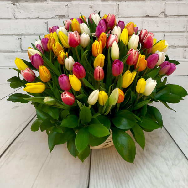 tulipani flowerbox