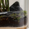 Terrarium lovely - immagine 5