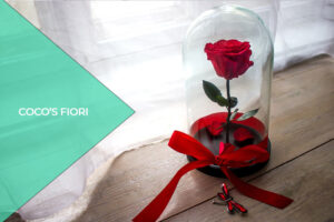 Rose stabilizzate in vetro: cosa sono?