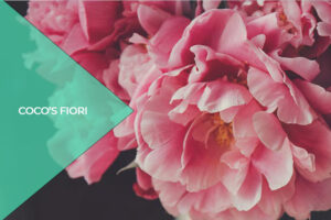Fiore di peonia: simboli e significati