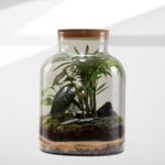 Terrarium lovely