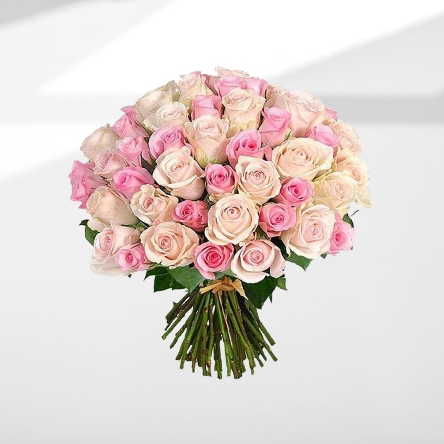 Dalphine Rose bianche e rosa