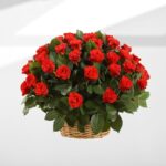 Cesto 50 Rose Rosse San Valentino