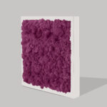 Quadro muschio stabilizzato purple